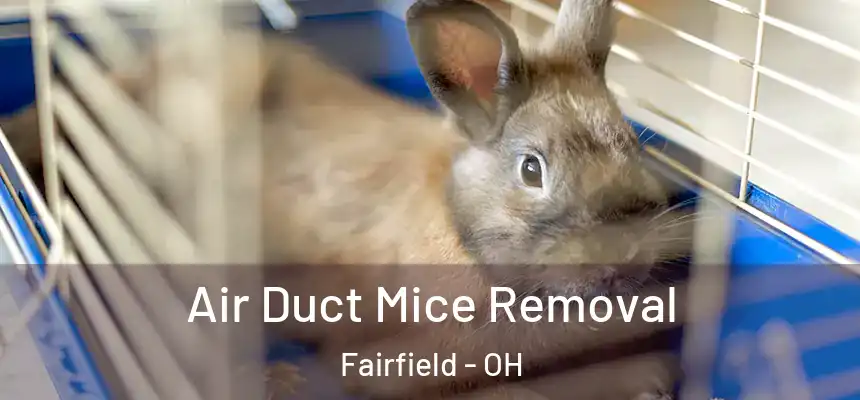 Air Duct Mice Removal Fairfield - OH