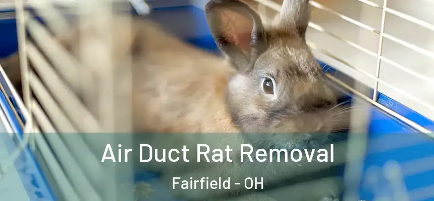  Air Duct Rat Removal Fairfield - OH
