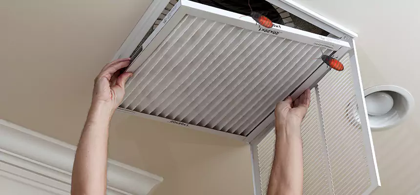 Preventive Cockroach-Proofing for Ducts in Fairfield