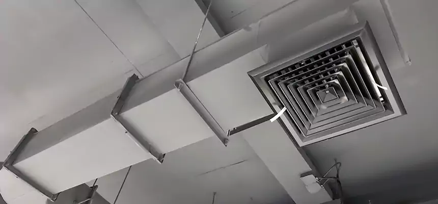 Our Pest Removal From Ducts Services in Fairfield, OH