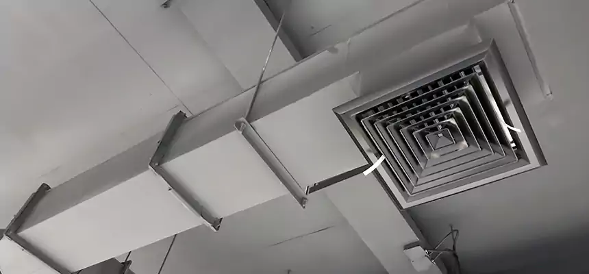 Our Rodent Droppings In Vents Services in Fairfield, OH