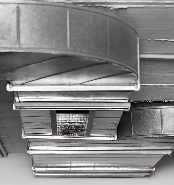 Professional Air Duct Pest Removal in Fairfield, OH