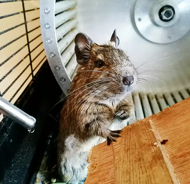 Why Homeowners & Businesses Trust Us Fairfield, OH